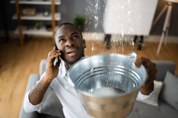 Best Flood restoration services  in Coeburn, VA