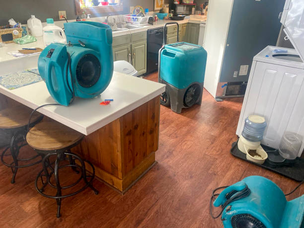 Best Water damage contractors near me  in Coeburn, VA