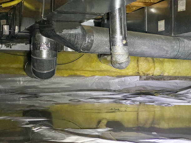 Best Mold removal after water damage  in Coeburn, VA