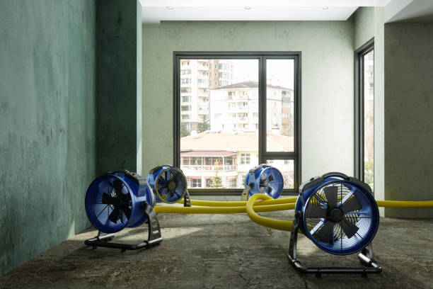 Best Professional water damage repair  in Coeburn, VA